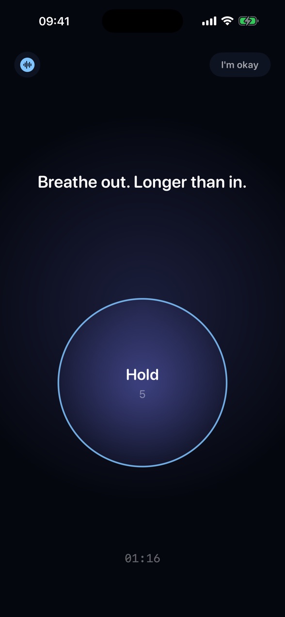 Panic-moment support: guided breathing